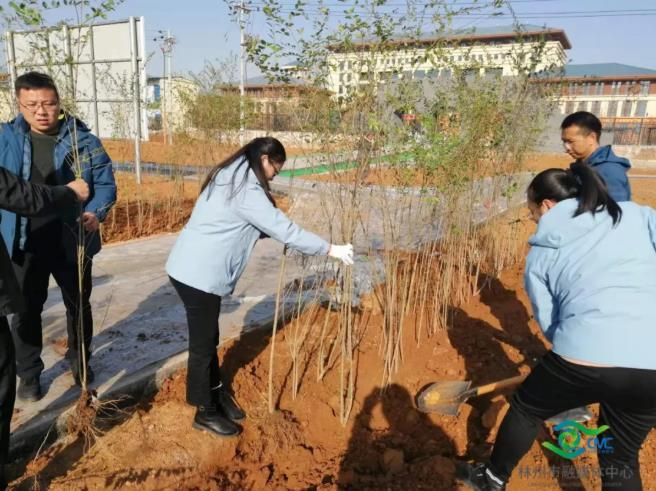 紅旗渠精神營(yíng)地|水到渠成營(yíng)植樹(shù)活動(dòng)火熱開(kāi)展