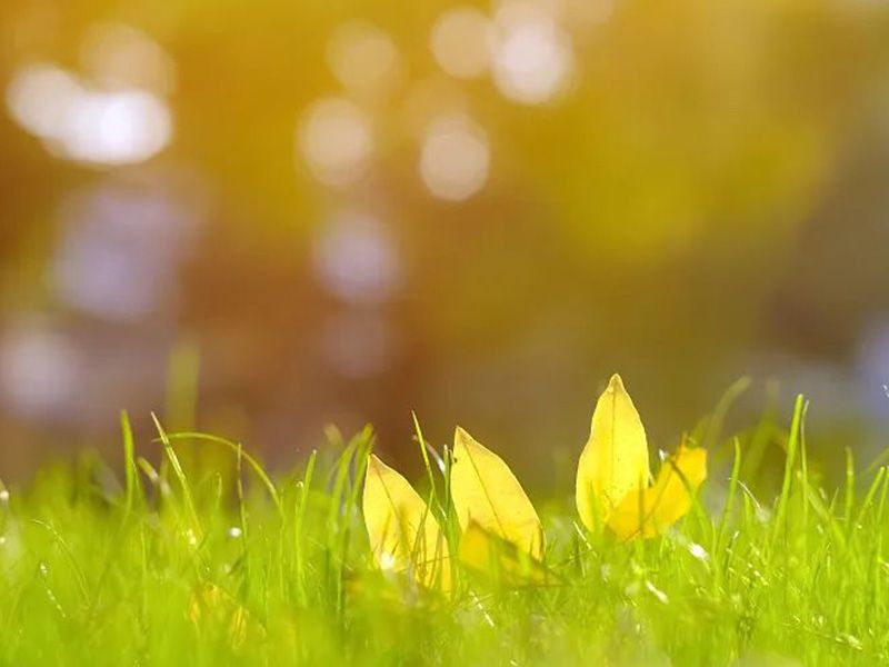 二十四節(jié)氣|今日立秋