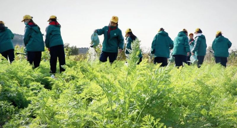 【紅旗渠精神營地】林州市二小北校五年級“好事多磨”農耕研學實踐活動