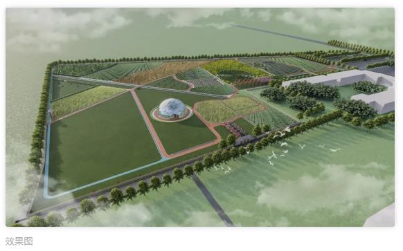 360截圖20211117100255085